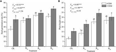 Positive Effects on Alfalfa Productivity and Soil Nutrient Status in Coastal Wetlands Driven by Biochar and Microorganisms Mixtures